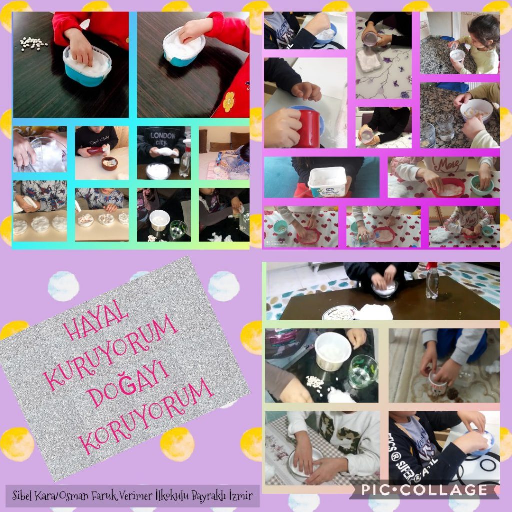 Hayal Kuruyorum Doğayı Koruyorum Aralık Ayı Çalışmalarımız by Fatma Rüzgar - Ourboox.com