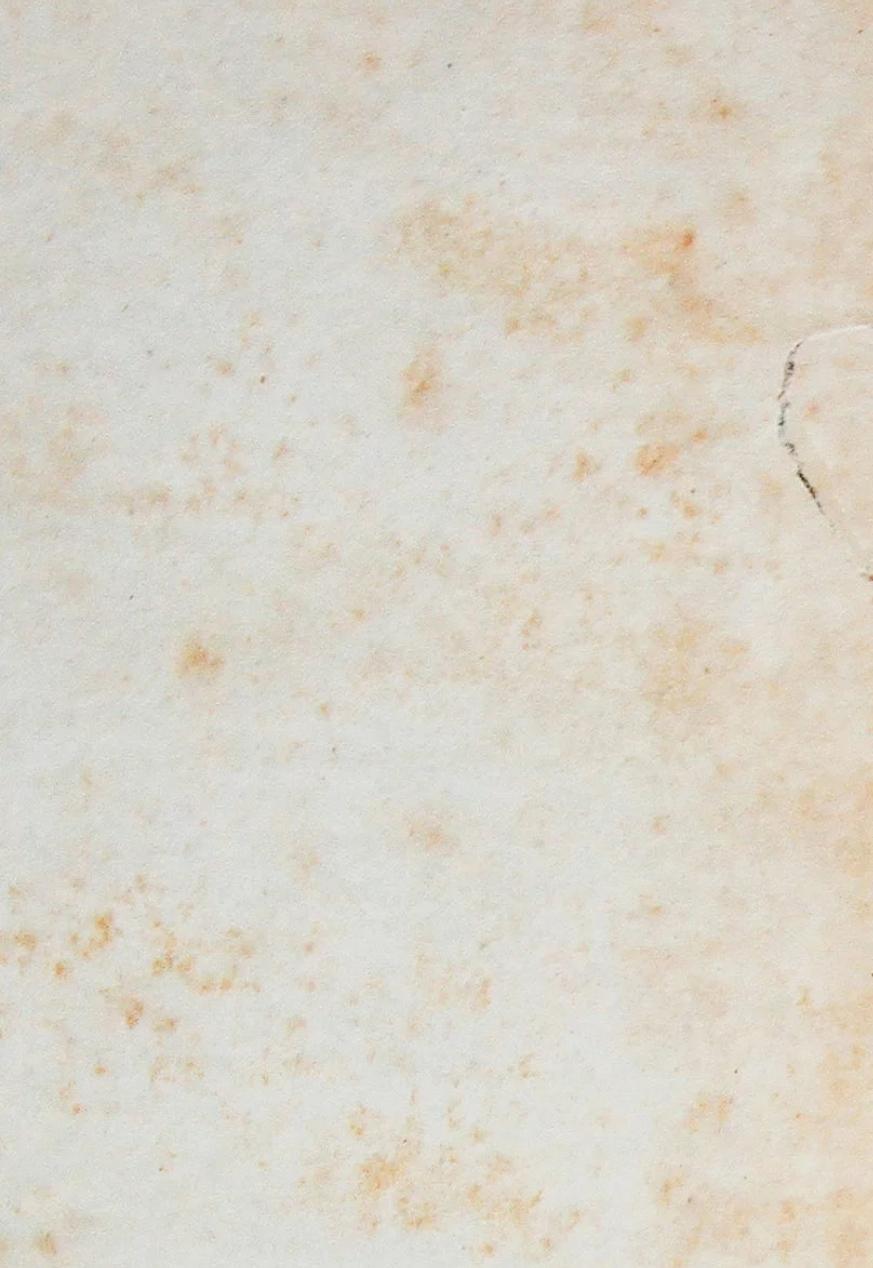 הערכה חלופית בספרות – חלק יצירתי by Bar Sandak - Ourboox.com