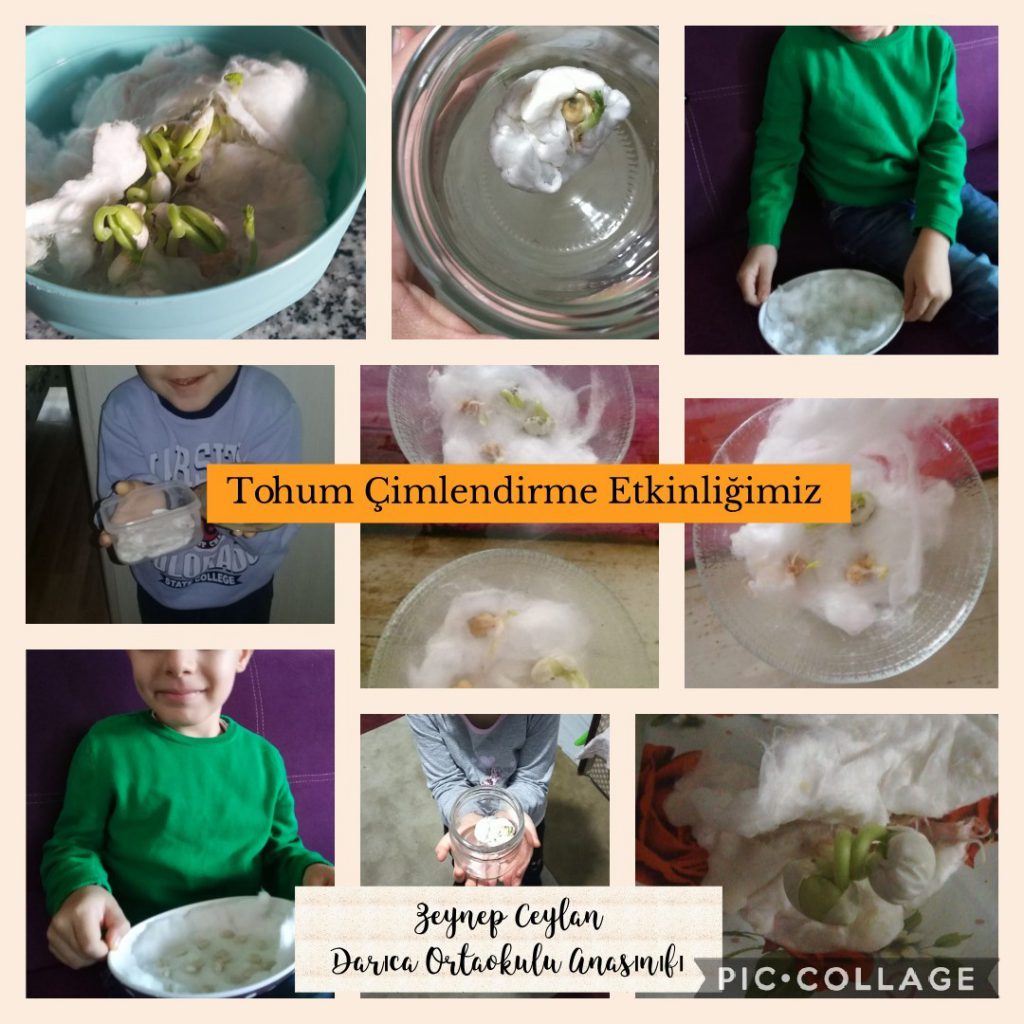 Hayal Kuruyorum Doğayı Koruyorum Aralık Ayı Çalışmalarımız by Fatma Rüzgar - Ourboox.com