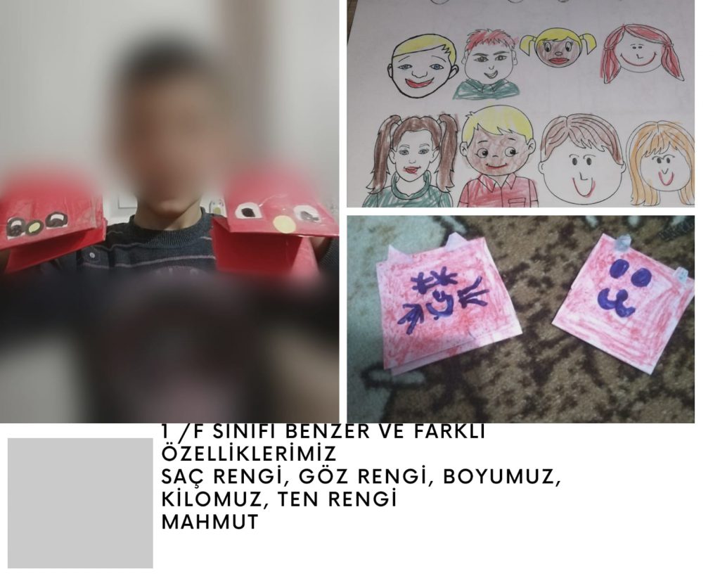 OUR SIMILARITIES AND DIFFERENCES by Medine Yıldırım - Ourboox.com