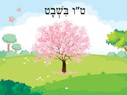 ט”ו בשבט by chen mesika - Ourboox.com