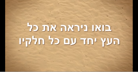 מבנה העץ by AYULA - Ourboox.com