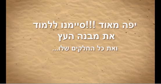 מבנה העץ by AYULA - Ourboox.com