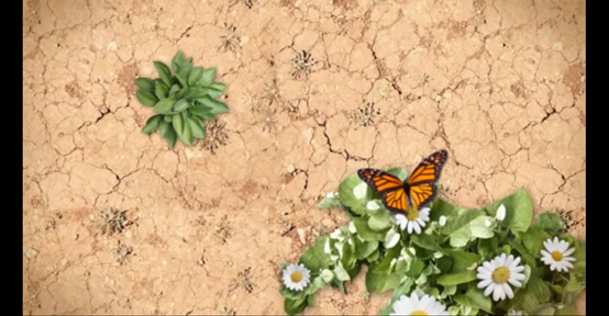 מבנה העץ by AYULA - Ourboox.com