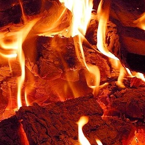 I combustibili by annamaria pelliccia - Ourboox.com