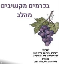 ב”כרמים” מקשיבים לעצמי לאחר ולסביבה by osnat - Ourboox.com