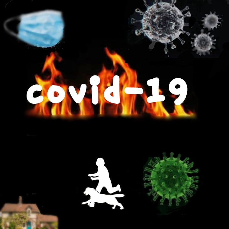 טיול הקורונה by naomi suanders - Ourboox.com