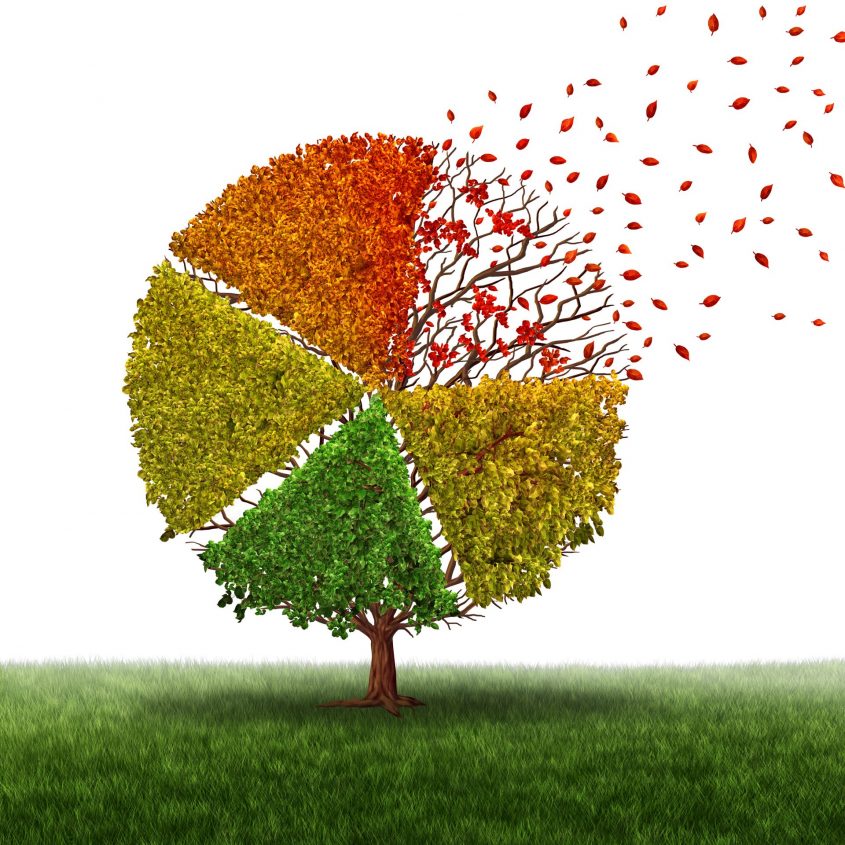 אני בדרכי שינוי ומעבר – לקראת המעבר לחטיבת הביניים by yael navon - Illustrated by צוות יועצות חינוכיות - Ourboox.com