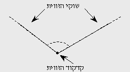 גאומטריה – סוגיי זוויות by RONLI - Illustrated by רונלי מזרחי - Ourboox.com