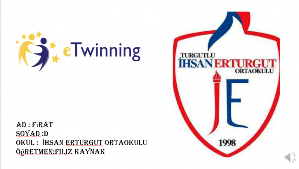 E Twinning by Fırat Dünüşler - Ourboox.com
