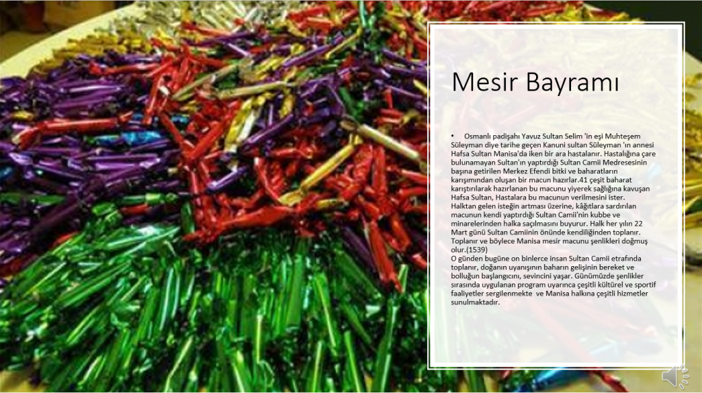 E Twinning by Fırat Dünüşler - Ourboox.com