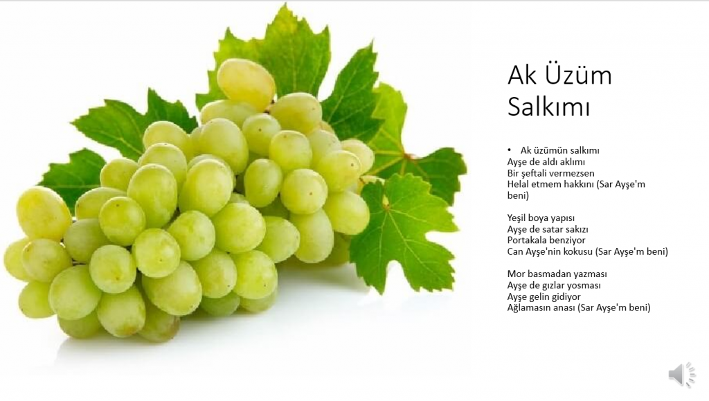 E Twinning by Fırat Dünüşler - Ourboox.com