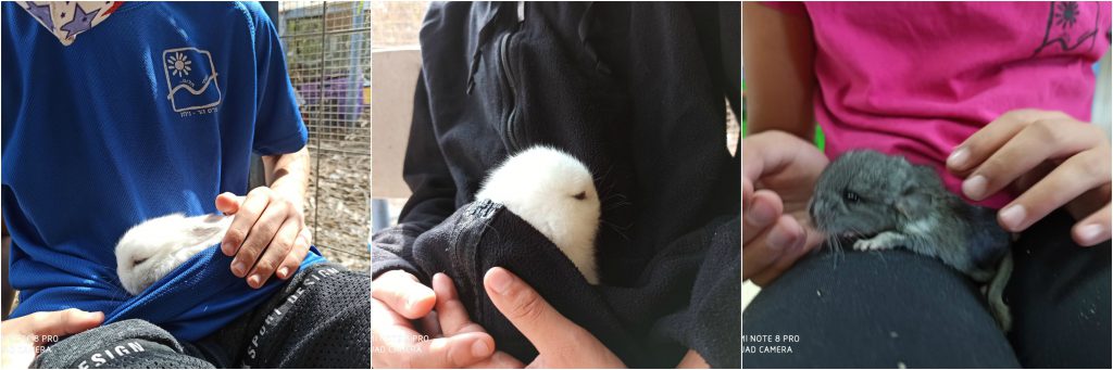 גילונתון נובמבר – דצמבר by efrat caruk - Illustrated by אפרת צרוק ומועצת התלמידים - Ourboox.com