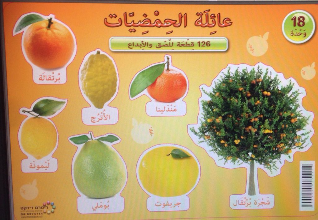 الحمضيات by samah abu hussien - Ourboox.com