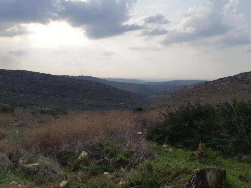 תובנות התנסות החברה הערבית by Rotem kalmar - Illustrated by צוערות וצוערים מחזור ח