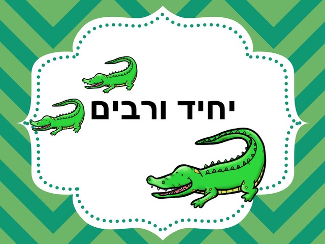 יחיד – רבים by mohammed ib - Illustrated by המורה אברהים מוחמד - Ourboox.com