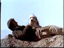 a boy and his dog at the end of the world ending by rawaa khlilhea - Ourboox.com