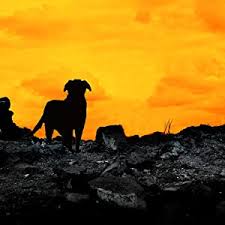 a boy and his dog at the end of the world ending by rawaa khlilhea - Ourboox.com