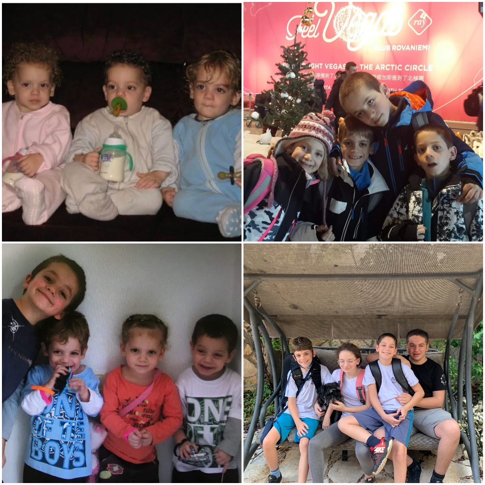 עבודת שורשים by tom - Ourboox.com