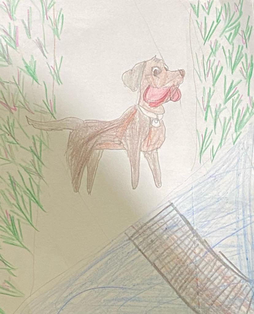 The Dog and The Shadow by basmala - Ourboox.com