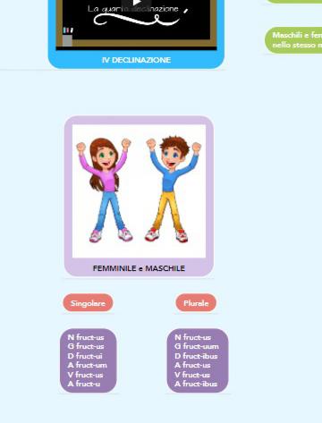 mappe latino by nicole - Illustrated by Nicole Basile - Ourboox.com