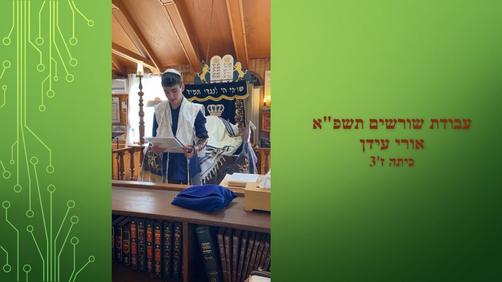 עבודת שורשים by ori - Ourboox.com