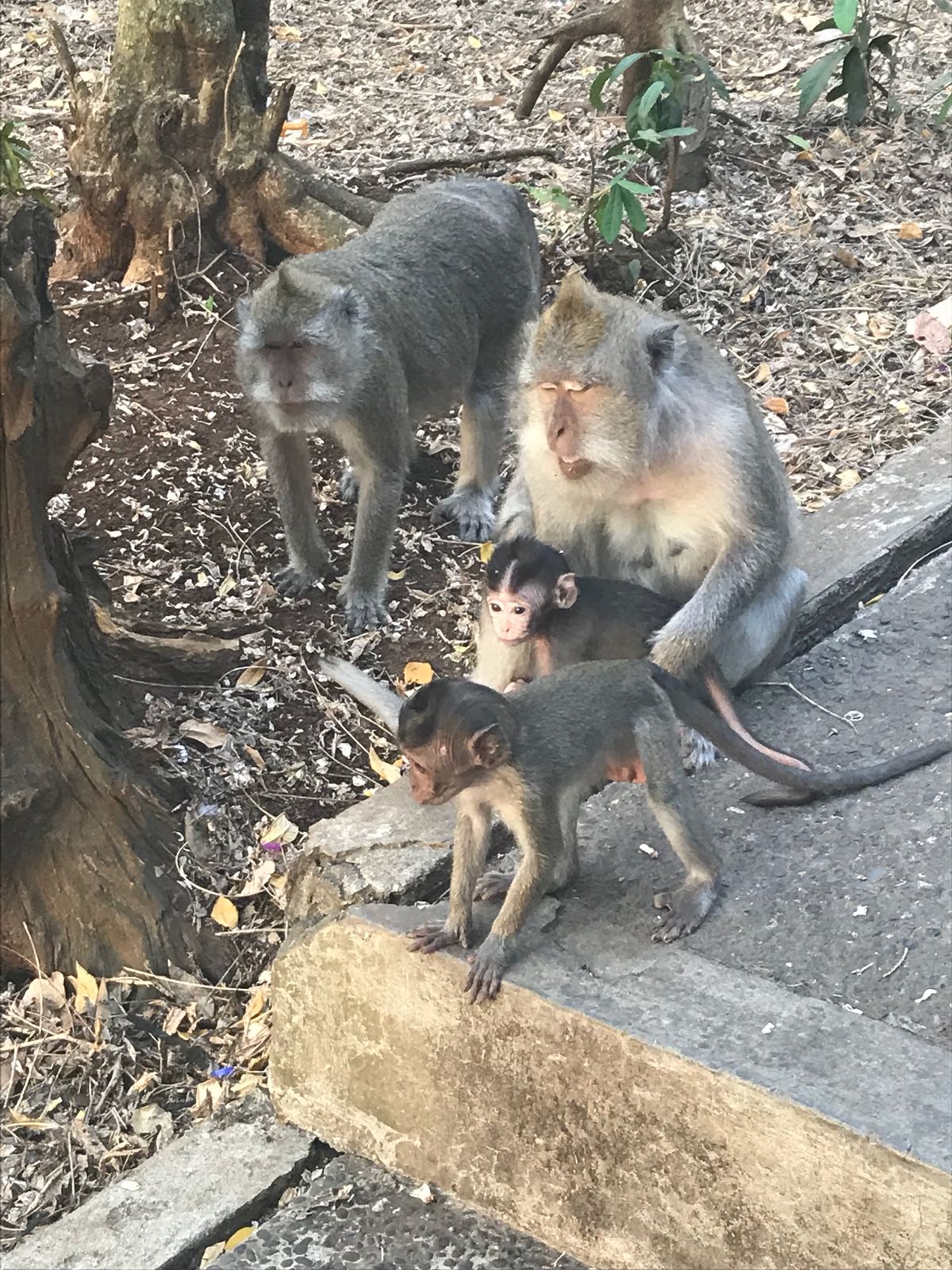 Una vacanza SPECIALE by Alessandro Salerno - Ourboox.com