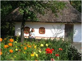 Тема заняття “ Моторні оливи ” by Oleksandr Bakal - Ourboox.com