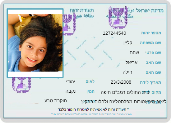 עבודת שורשים שהם קליין by shoham klein - Ourboox.com