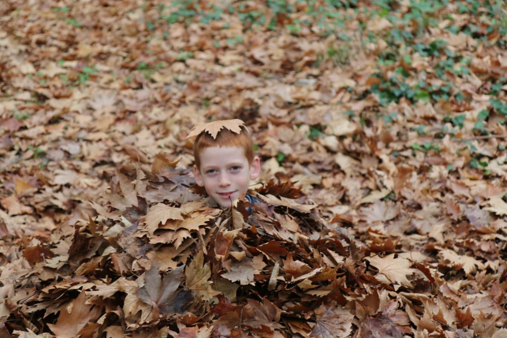 עבודת שורשים מעיין by maayan - Ourboox.com
