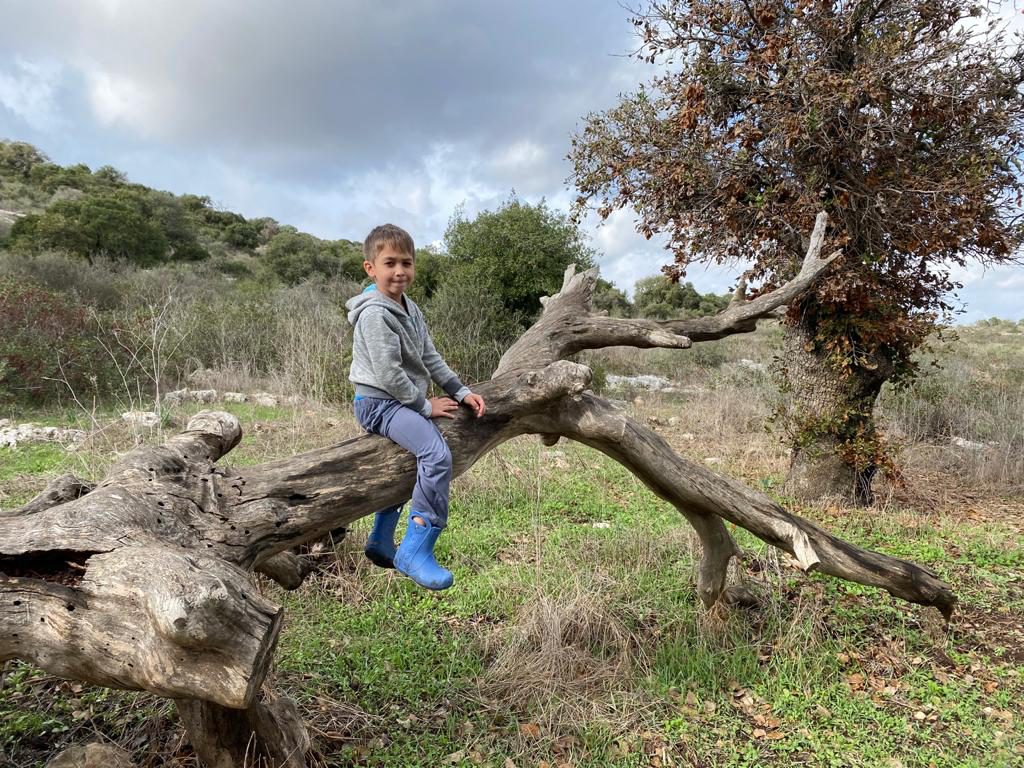 עבודת שורשים by your soul - Ourboox.com