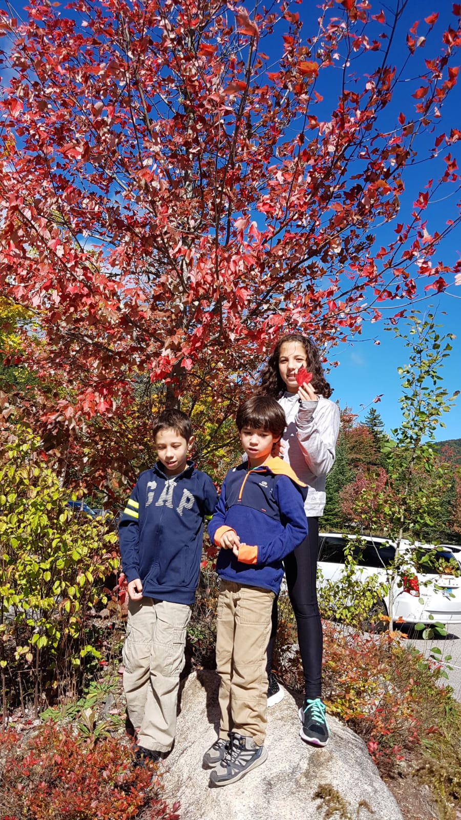 עבודת שורשים – עידו by Ido - Illustrated by עידו רותם - Ourboox.com