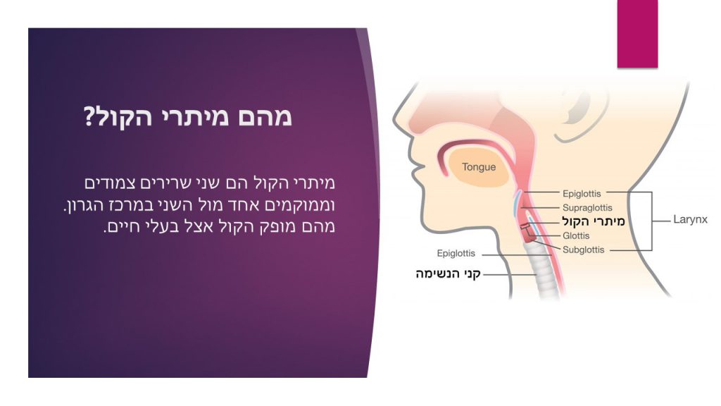 הכל על הקול by shachar marom - Ourboox.com