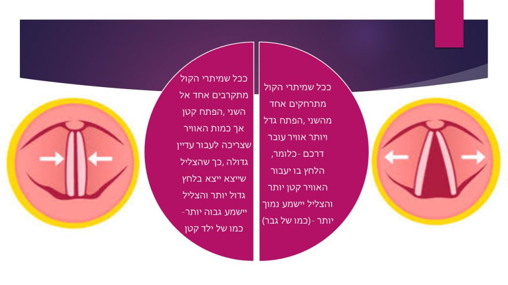 הכל על הקול by shachar marom - Ourboox.com