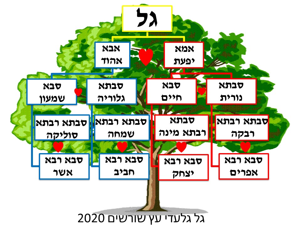 עבודת שורשים תשפ”א גל by gal - Ourboox.com