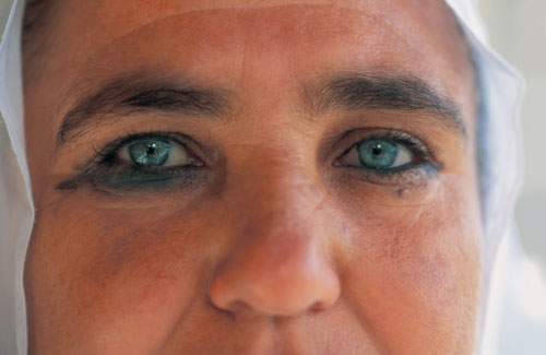 עבודת שורשים דפנה by Daphne Yefet - Ourboox.com