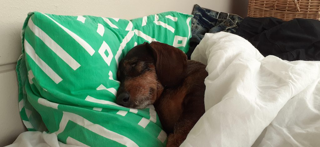 Little Billy can’t fall asleep by liron shem tov - Ourboox.com