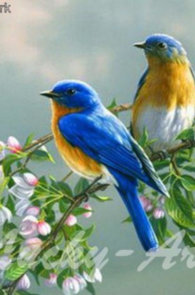 Пори року by Anastasiia Proskurko - Ourboox.com