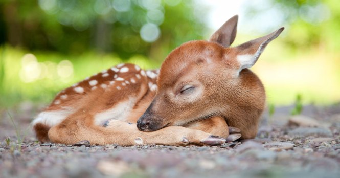 Множення by Natalya - Ourboox.com