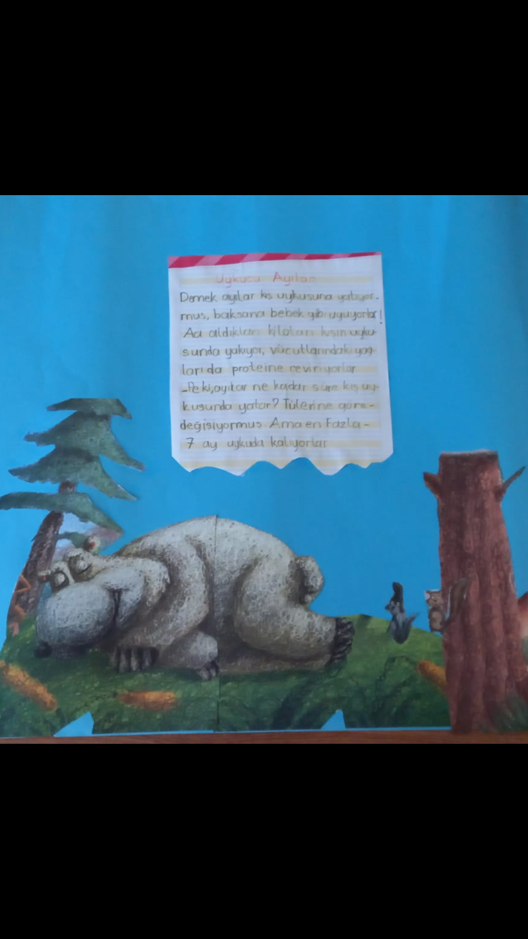 KIŞ UYKUSUNA YATAN HAYVANLARLA İLGİLİ KOMPOZİSYONLAR by Vecihe İnan - Illustrated by KIŞ UYKUSUNA YATAN HAYVANLAR - Ourboox.com