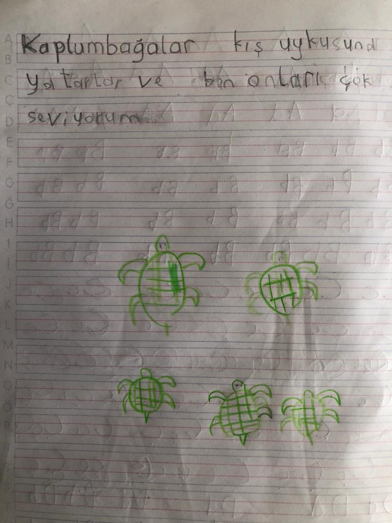 KIŞ UYKUSUNA YATAN HAYVANLARLA İLGİLİ KOMPOZİSYONLAR by Vecihe İnan - Illustrated by KIŞ UYKUSUNA YATAN HAYVANLAR - Ourboox.com