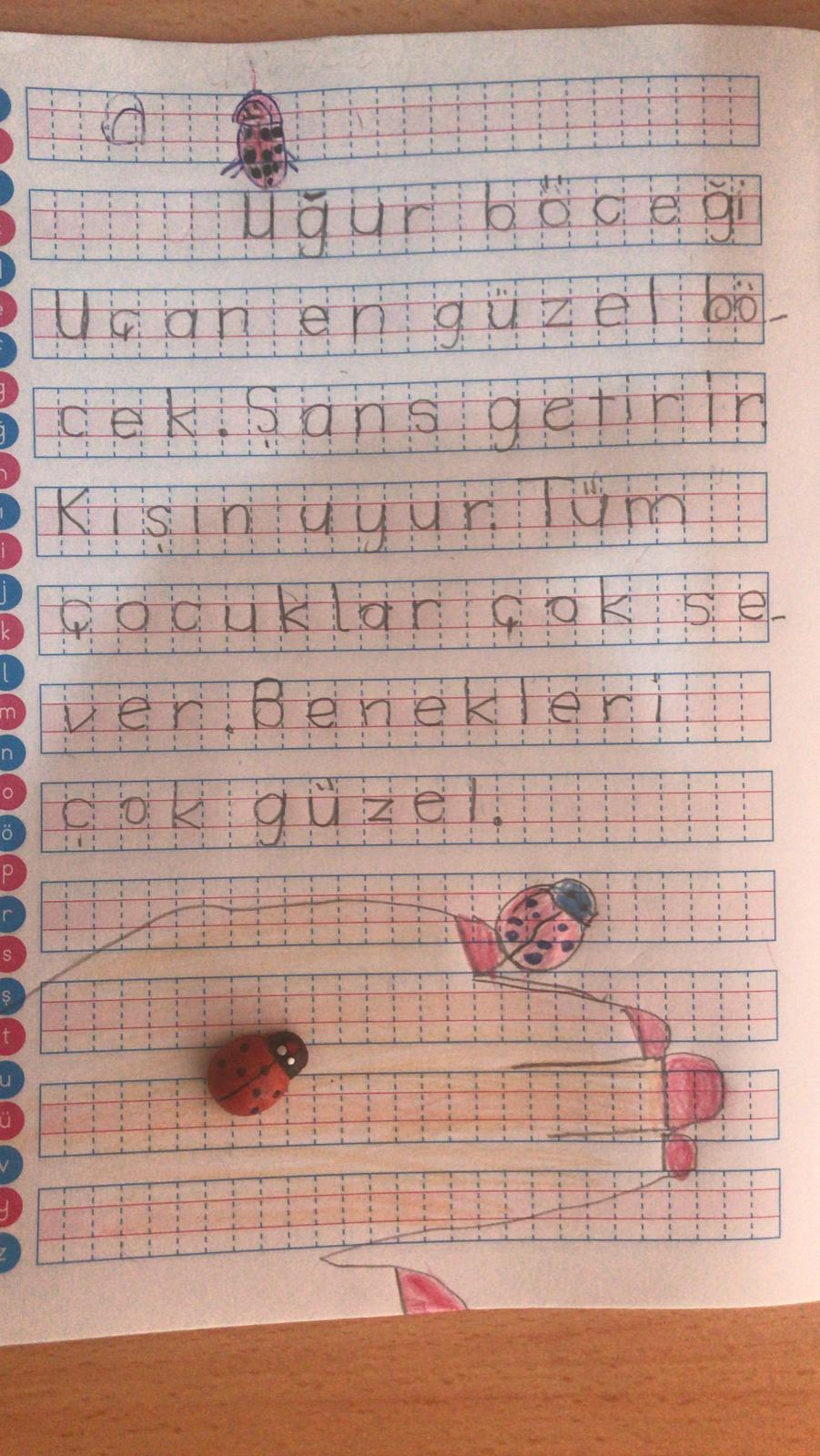 KIŞ UYKUSUNA YATAN HAYVANLARLA İLGİLİ KOMPOZİSYONLAR by Vecihe İnan - Illustrated by KIŞ UYKUSUNA YATAN HAYVANLAR - Ourboox.com