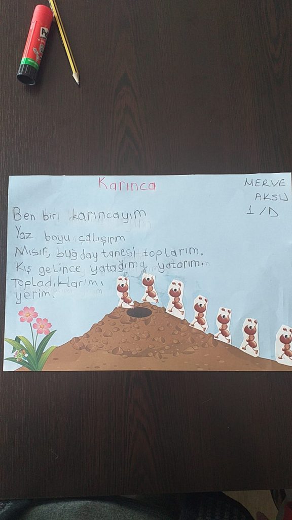 KIŞ UYKUSUNA YATAN HAYVANLARLA İLGİLİ KOMPOZİSYONLAR by Vecihe İnan - Illustrated by KIŞ UYKUSUNA YATAN HAYVANLAR - Ourboox.com