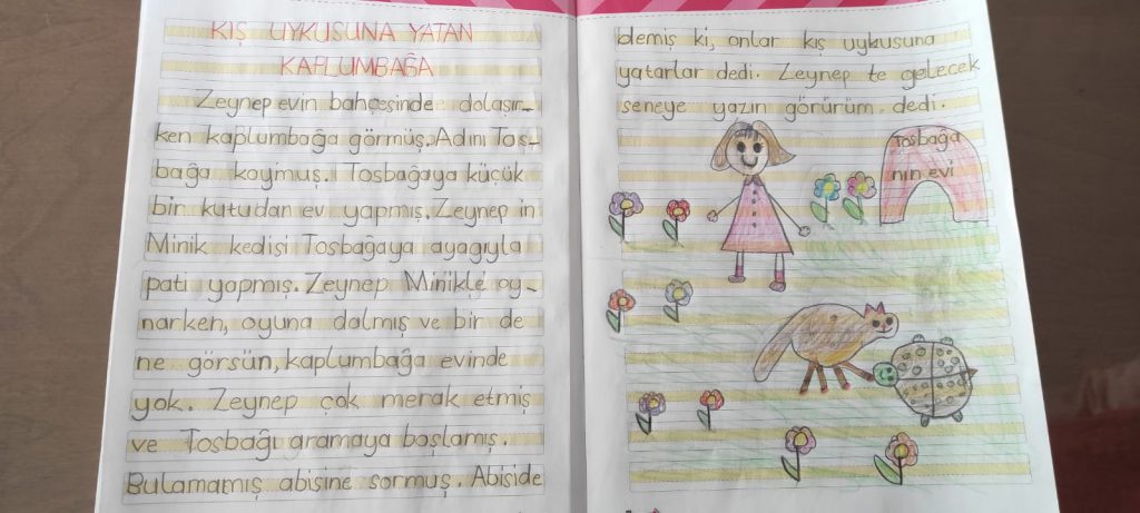 KIŞ UYKUSUNA YATAN HAYVANLARLA İLGİLİ KOMPOZİSYONLAR by Vecihe İnan - Illustrated by KIŞ UYKUSUNA YATAN HAYVANLAR - Ourboox.com