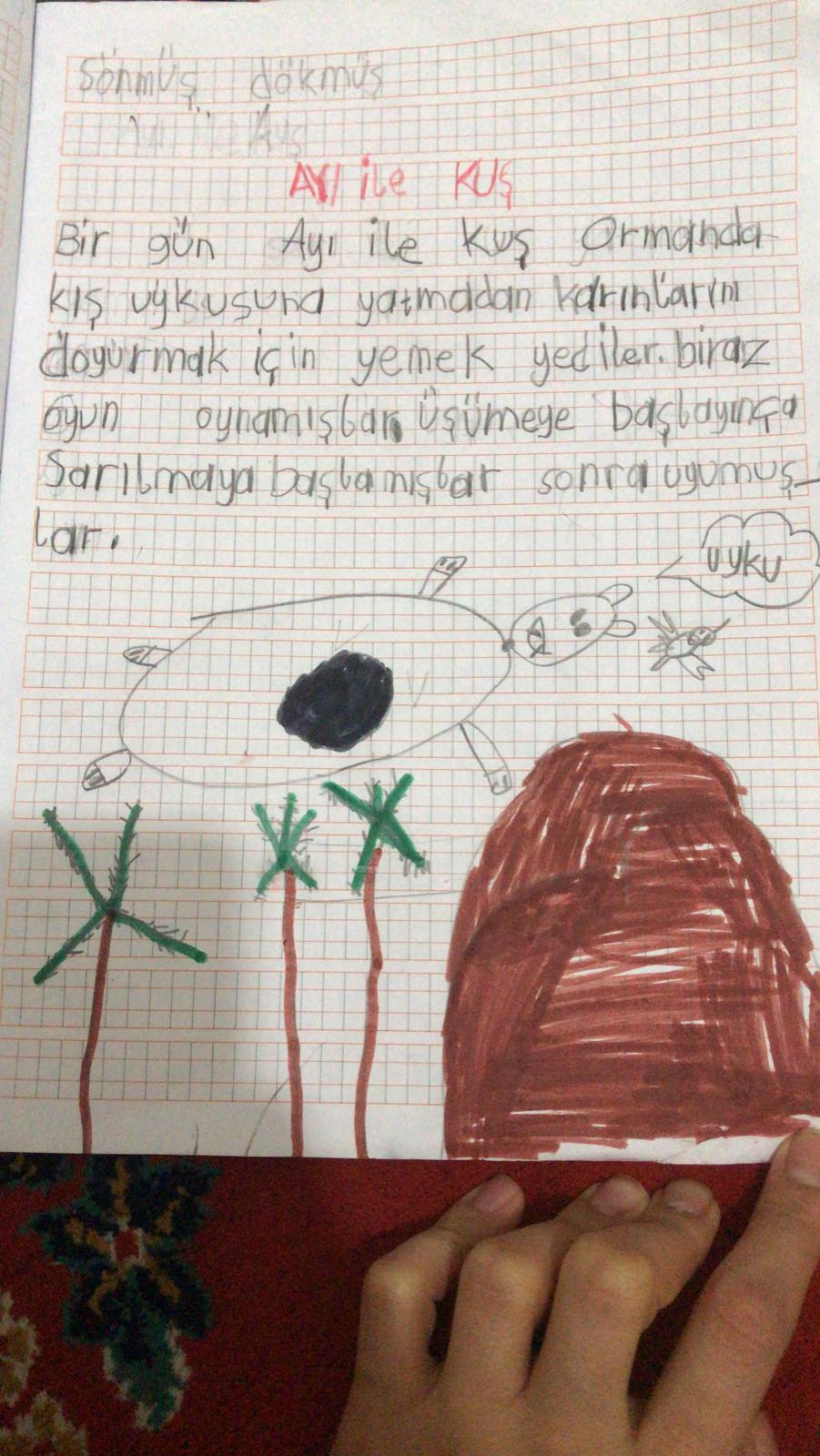 KIŞ UYKUSUNA YATAN HAYVANLARLA İLGİLİ KOMPOZİSYONLAR by Vecihe İnan - Illustrated by KIŞ UYKUSUNA YATAN HAYVANLAR - Ourboox.com