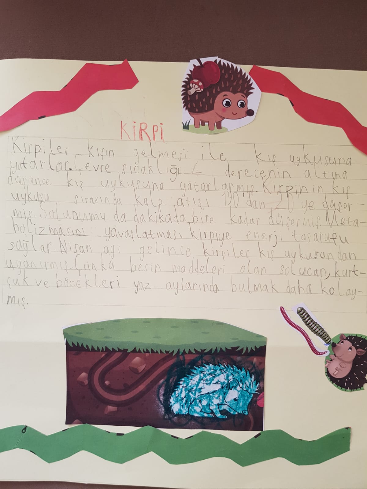 KIŞ UYKUSUNA YATAN HAYVANLARLA İLGİLİ KOMPOZİSYONLAR by Vecihe İnan - Illustrated by KIŞ UYKUSUNA YATAN HAYVANLAR - Ourboox.com