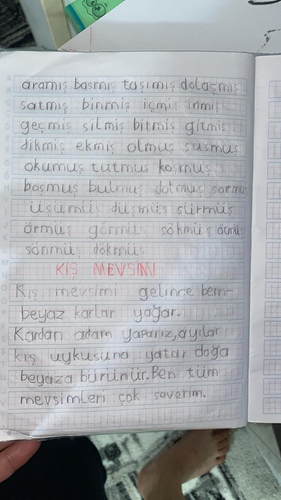 KIŞ UYKUSUNA YATAN HAYVANLARLA İLGİLİ KOMPOZİSYONLAR by Vecihe İnan - Illustrated by KIŞ UYKUSUNA YATAN HAYVANLAR - Ourboox.com