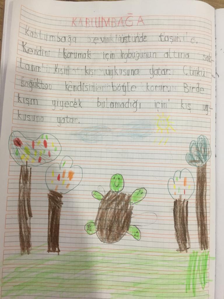 KIŞ UYKUSUNA YATAN HAYVANLARLA İLGİLİ KOMPOZİSYONLAR by Vecihe İnan - Illustrated by KIŞ UYKUSUNA YATAN HAYVANLAR - Ourboox.com