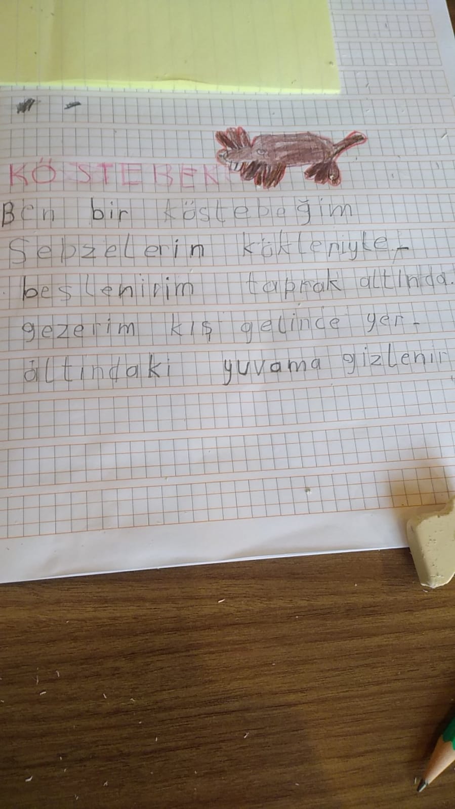 KIŞ UYKUSUNA YATAN HAYVANLARLA İLGİLİ KOMPOZİSYONLAR by Vecihe İnan - Illustrated by KIŞ UYKUSUNA YATAN HAYVANLAR - Ourboox.com