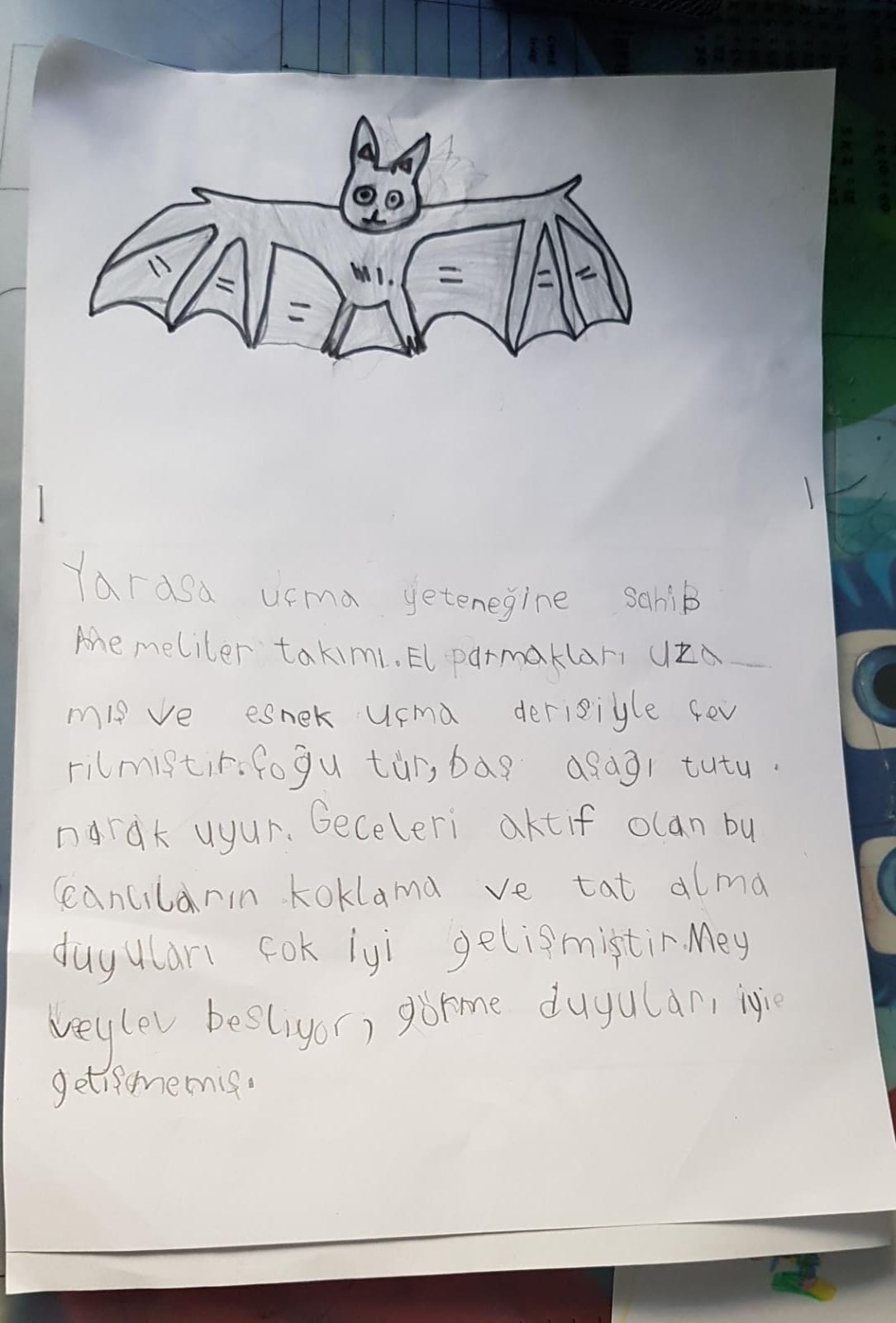 KIŞ UYKUSUNA YATAN HAYVANLARLA İLGİLİ KOMPOZİSYONLAR by Vecihe İnan - Illustrated by KIŞ UYKUSUNA YATAN HAYVANLAR - Ourboox.com